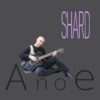 Esce il nuovo singolo di Shard “Anoe”
